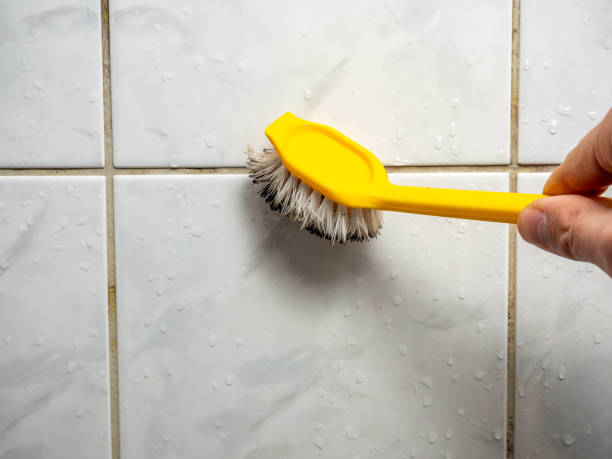 Best Mold Damage Repair  in Garland, TX